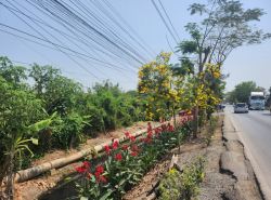 ขายที่ดินหนองจอก 3 ไร่ ด้านหลังตลาดหนองจอก ถ.ผดุงพันธ์ ซอย1 ทำเลธุรกิจ