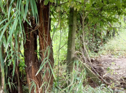 รถมือสอง อสังหาริมทรัพย์ ที่ดิน ปี 0 