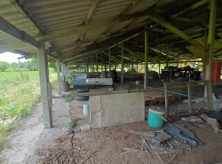 รถมือสอง อสังหาริมทรัพย์ ที่ดิน ปี 0 
