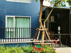 รถมือสอง อสังหาริมทรัพย์ คอนโดมิเนียม ปี 0 