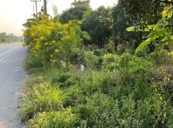 รถมือสอง อสังหาริมทรัพย์ ที่ดิน ปี 0 