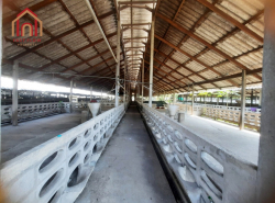 รถมือสอง อสังหาริมทรัพย์ สำนักงาน,โรงงาน ปี 0 
