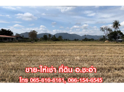 รถมือสอง อสังหาริมทรัพย์ ที่ดิน ปี 0 