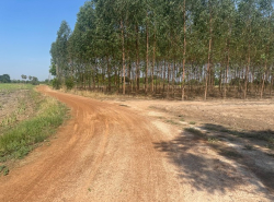 รถมือสอง อสังหาริมทรัพย์ ที่ดิน ปี 0 