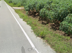 รถมือสอง อสังหาริมทรัพย์ ที่ดิน ปี 0 