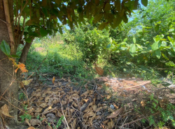 รถมือสอง อสังหาริมทรัพย์ ที่ดิน ปี 0 