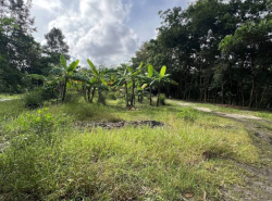 รถมือสอง อสังหาริมทรัพย์ ที่ดิน ปี 0 
