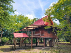 รถมือสอง อสังหาริมทรัพย์ ที่ดิน ปี 0 