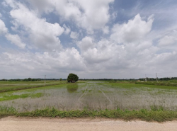 ขายที่ดิน ที่นา พิษณุโลก อำเภอวังทอง 19 ไร่ สวยมาก วิวนาสวย อากาศดี 