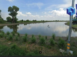 ขาย ที่ดินเปล่า ขนาด 3 ไร่ 1 งาน ที่ดินติดถนนเลียบคลองกาหลง  ใกล้มอเตอร์เวย์ สาย 7