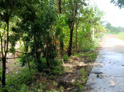 รถมือสอง อสังหาริมทรัพย์ ที่ดิน ปี 0 