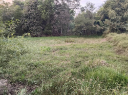 รถมือสอง อสังหาริมทรัพย์ ที่ดิน ปี 0 