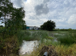 รถมือสอง อสังหาริมทรัพย์ ที่ดิน ปี 0 