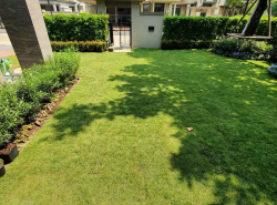 บ้านสวย Narasiri Rama 2 บ้านเดี่ยวหน้ากว้างจอดรถได้ 2 คัน มีห้องนอนสำหรับผู้สูงอายุด้านล่าง