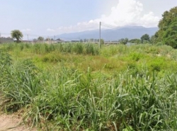รถมือสอง อสังหาริมทรัพย์ ที่ดิน ปี 0 
