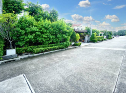 ขาย บ้านเดี่ยว คาซ่าวิลล์ ราชพฤกษ์-รัตนาธิเบศร์ 2 260 ตรม. 102.8 ตร.วา 4นอน บิวอินทั้งหลัง ตกแต่งสไตล์รีสอร์ท ติดถนนเมน โครงการติดถ.ราชพฤกษ์