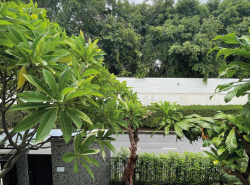รถมือสอง อสังหาริมทรัพย์ บ้าน ปี 0 