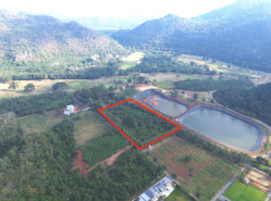 รถมือสอง อสังหาริมทรัพย์ ที่ดิน ปี 0 