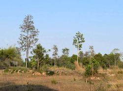 รถมือสอง อสังหาริมทรัพย์ ที่ดิน ปี 0 