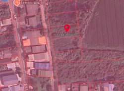 ขายต่ำกว่าประเมิน ที่ดินเมืองปทุมธานี 100 ตรว ซ.ธรรมสุธีร์ 20 จ.ปทุม