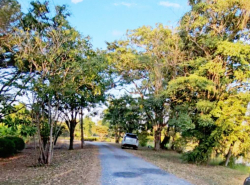 รถมือสอง อสังหาริมทรัพย์ ที่ดิน ปี 0 