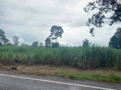 รถมือสอง อสังหาริมทรัพย์ ที่ดิน ปี 0 
