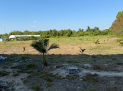 รถมือสอง อสังหาริมทรัพย์ ที่ดิน ปี 0 