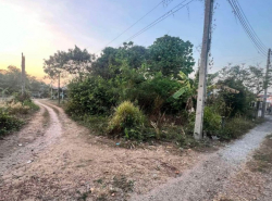 รถมือสอง อสังหาริมทรัพย์ ที่ดิน ปี 0 