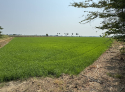 รถมือสอง อสังหาริมทรัพย์ ที่ดิน ปี 0 