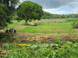 รถมือสอง อสังหาริมทรัพย์ ที่ดิน ปี 0 