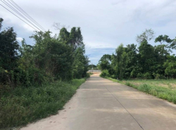 อสังหาริมทรัพย์ - ที่ดิน