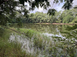 อสังหาริมทรัพย์ - ที่ดิน