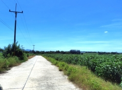 รถมือสอง อสังหาริมทรัพย์ ที่ดิน ปี 0 