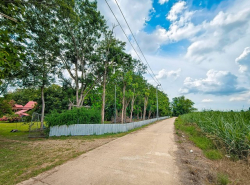 อสังหาริมทรัพย์ - ที่ดิน
