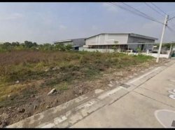 ให้เช่าที่ดิน เนื้อที่ 4 ไร่กว่า ซอยไอยรา 20 คลองหลวง ปทุมธานี ใกล้ตลาดไท 
