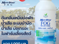 รถมือสอง ประกาศทั่วไป อื่นๆทั่วไป ปี 0 