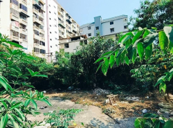 รถมือสอง อสังหาริมทรัพย์ ที่ดิน ปี 0 