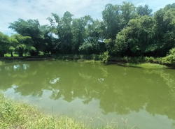 รถมือสอง อสังหาริมทรัพย์ ที่ดิน ปี 0 