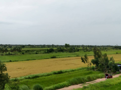 รถมือสอง อสังหาริมทรัพย์ ที่ดิน ปี 0 