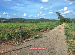 รถมือสอง อสังหาริมทรัพย์ ที่ดิน ปี 0 
