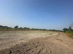 รถมือสอง อสังหาริมทรัพย์ ที่ดิน ปี 0 