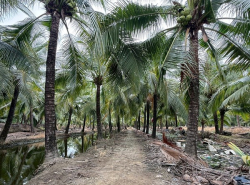 รถมือสอง อสังหาริมทรัพย์ ที่ดิน ปี 0 