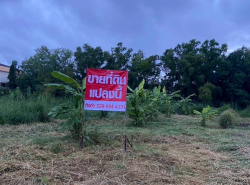 รถมือสอง อสังหาริมทรัพย์ ที่ดิน ปี 0 