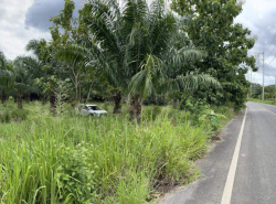 รถมือสอง อสังหาริมทรัพย์ ที่ดิน ปี 0 