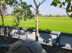 รถมือสอง อสังหาริมทรัพย์ บ้าน ปี 0 