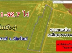 ที่ดินผังสีเหลืองยกแปลง ทำบ้านจัดสรรได้ ยางเนิ้ง สารภี 