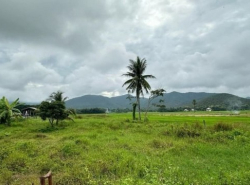 รถมือสอง อสังหาริมทรัพย์ ที่ดิน ปี 0 