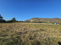 รถมือสอง อสังหาริมทรัพย์ ที่ดิน ปี 0 