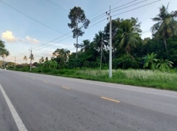 รถมือสอง อสังหาริมทรัพย์ ที่ดิน ปี 0 