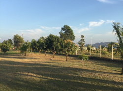 รถมือสอง อสังหาริมทรัพย์ ที่ดิน ปี 0 